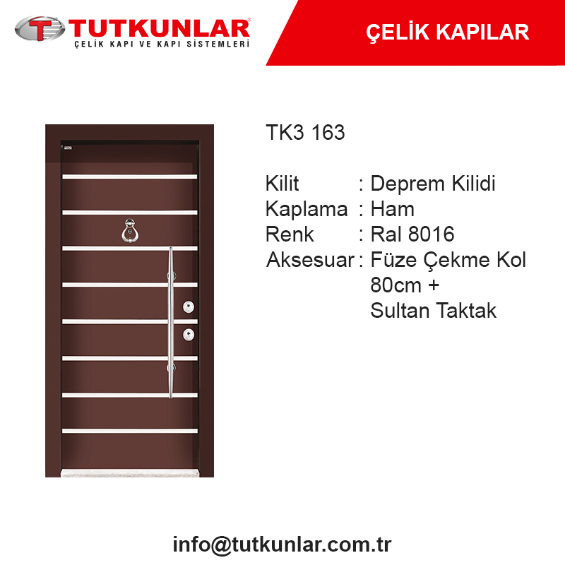 Çelik Kapı TK3 163