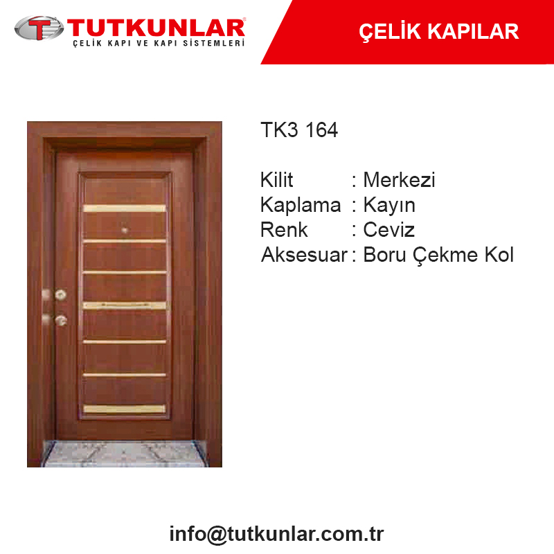 Çelik Kapı TK3 164