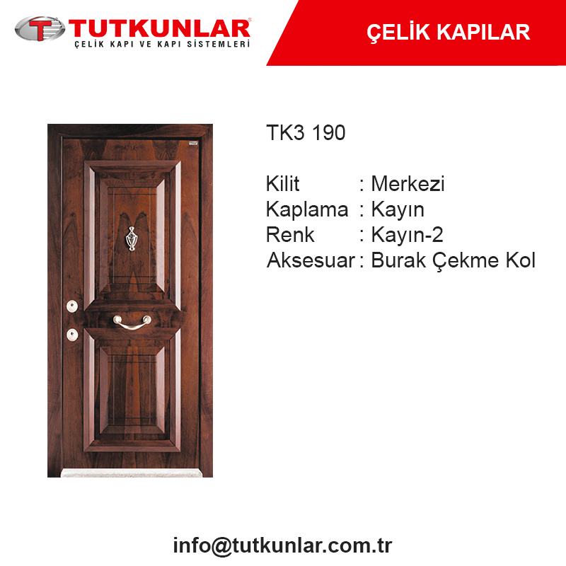 Çelik Kapı TK3 190