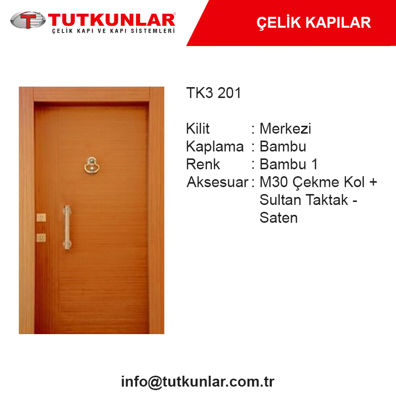 Çelik Kapı TK3 201